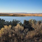 Shrubs and sagebrush grow near the edge of a calm river in Gooding, ID, with open plains and distant mountains under a clear blue sky in the background.